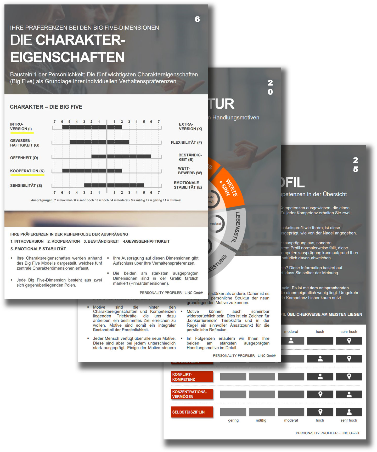 abbildung-ergebnisreporr-der-drei-persoenlichkeitsmerkmale