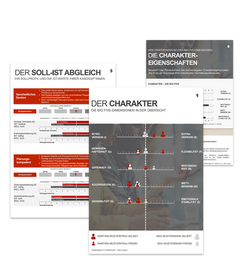 bild_zeigt_datenblaetter_des_personality_profiler_als_soll_ist_abgleich